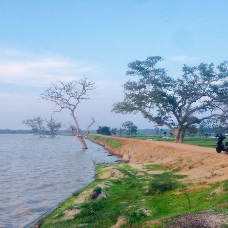 Utopia Arugambay Vịnh Arugam Ngoại thất bức ảnh