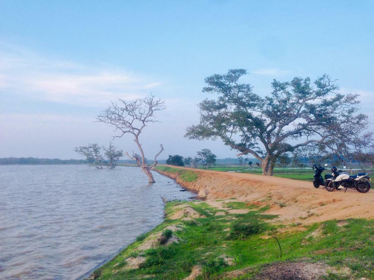 Utopia Arugambay Vịnh Arugam Ngoại thất bức ảnh